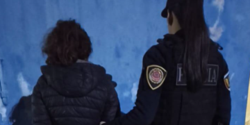 Hernando: Detuvieron a una mujer de 32 años que llevaba una cuchilla y cables tras inspeccionar camiones en la vía pública