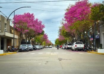 Presupuesto 2027: La Municipalidad de Oliva proyecta para 2027 una actualización tributaria moderada, con un promedio estimado del 21%