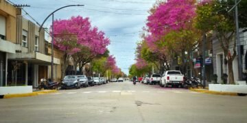 Presupuesto 2027: La Municipalidad de Oliva proyecta para 2027 una actualización tributaria moderada, con un promedio estimado del 21%